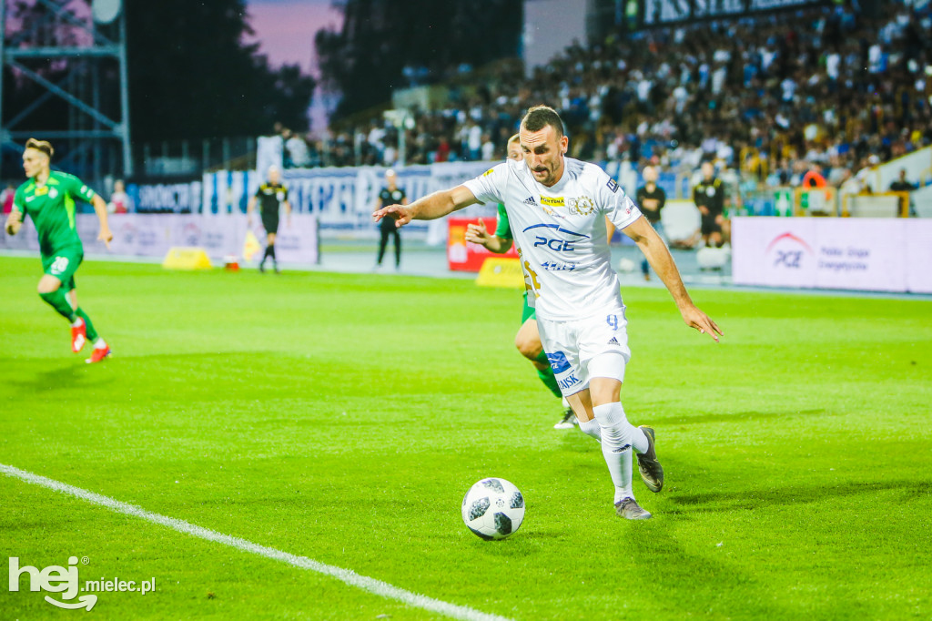 PGE FKS Stal - Warta Poznań