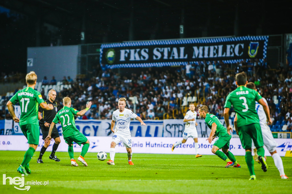 PGE FKS Stal - Warta Poznań