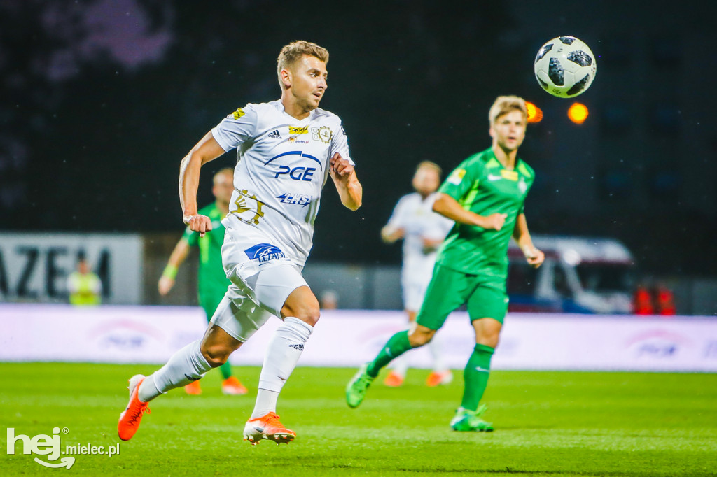 PGE FKS Stal - Warta Poznań