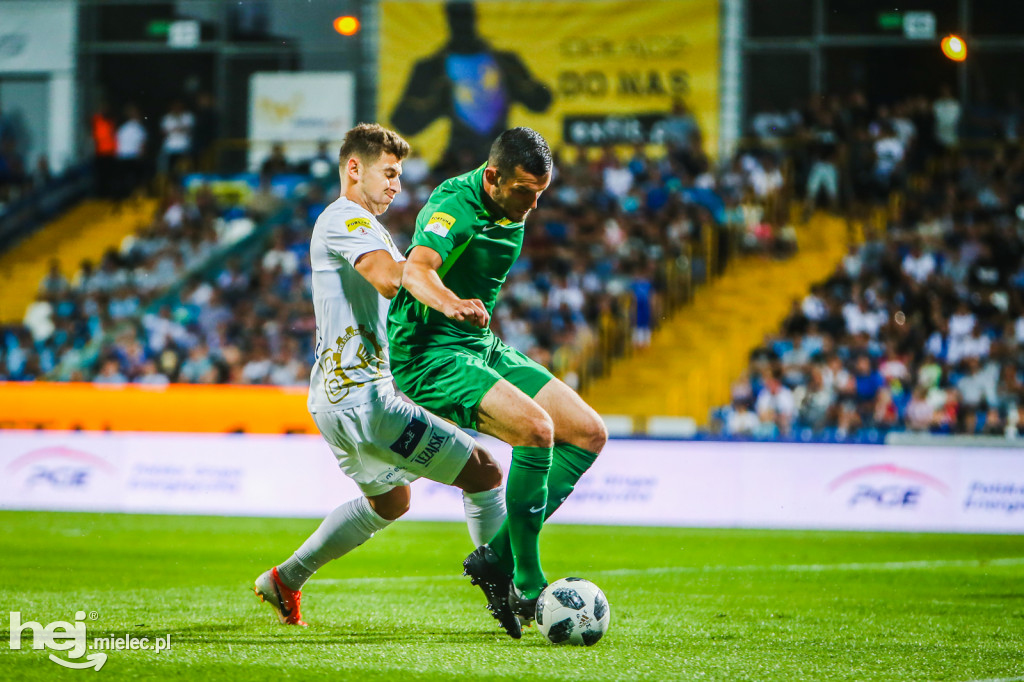 PGE FKS Stal - Warta Poznań