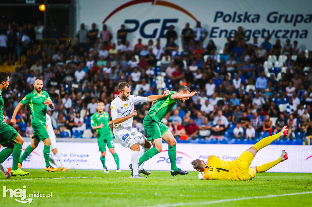 PGE FKS Stal - Warta Poznań