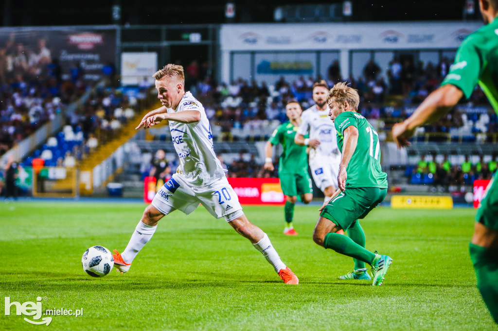 PGE FKS Stal - Warta Poznań