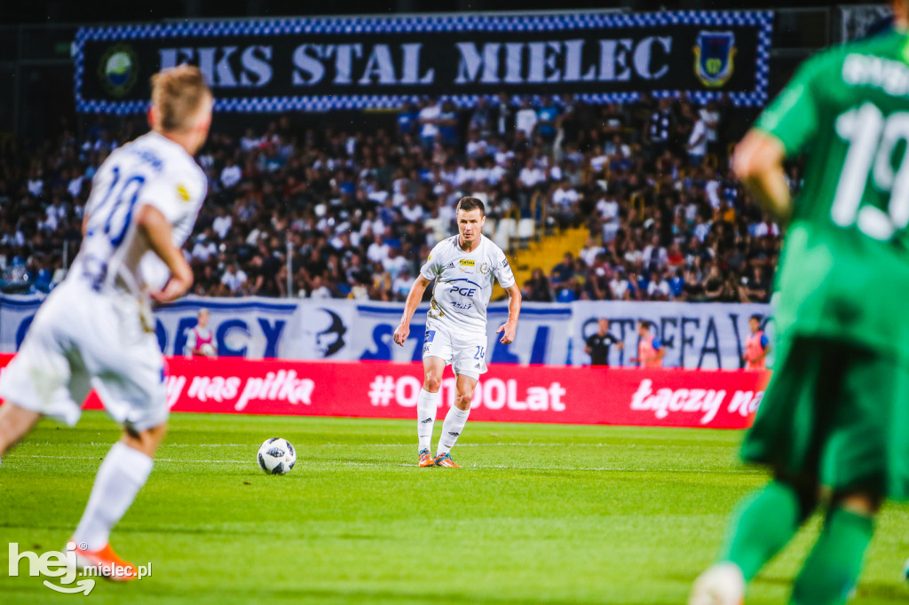 PGE FKS Stal - Warta Poznań