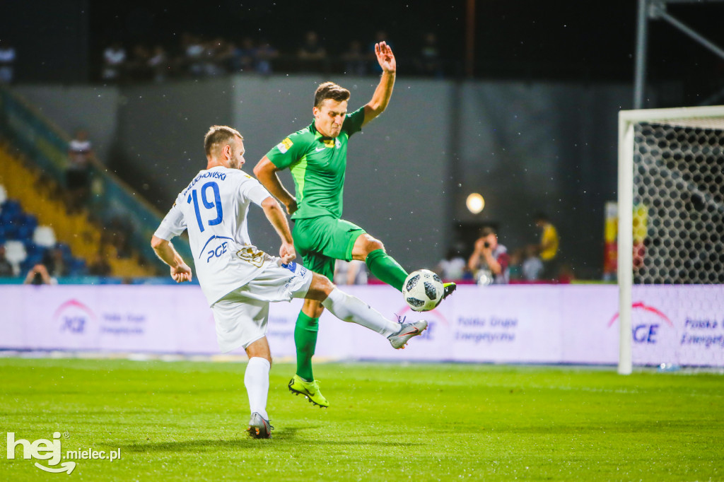 PGE FKS Stal - Warta Poznań