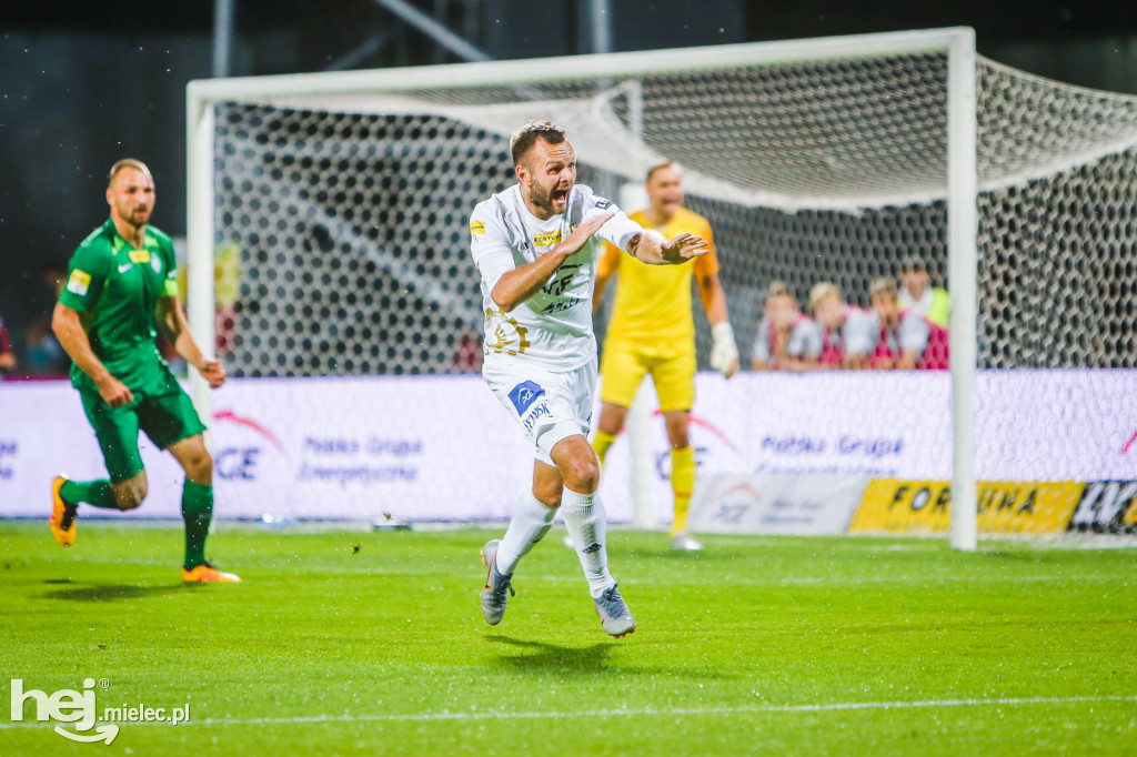 PGE FKS Stal - Warta Poznań