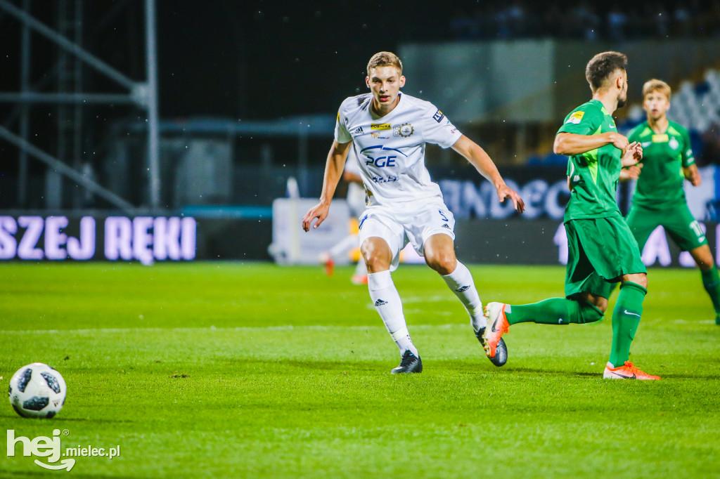 PGE FKS Stal - Warta Poznań