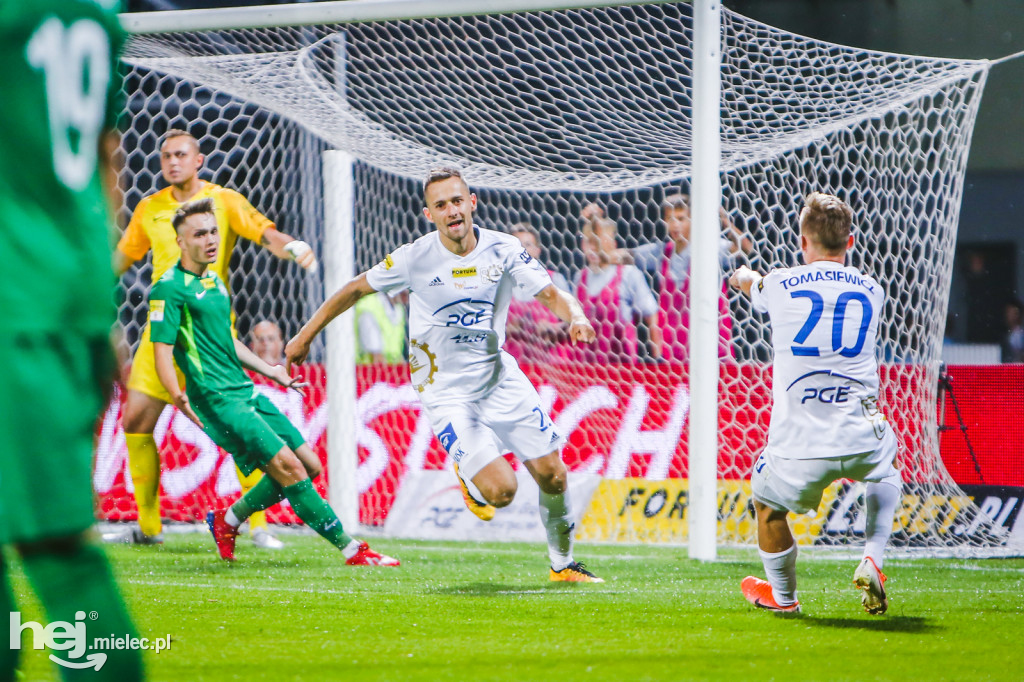 PGE FKS Stal - Warta Poznań