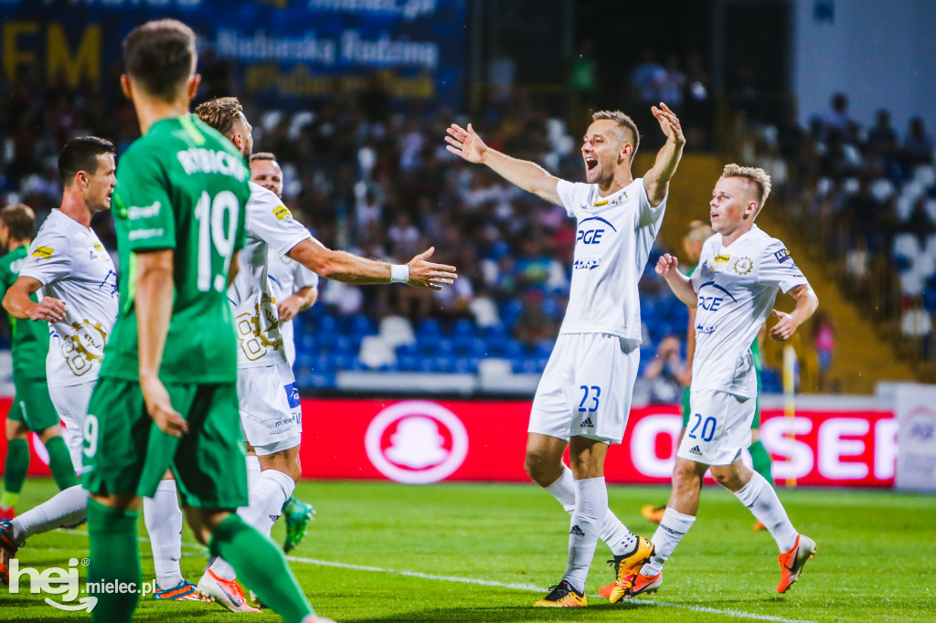 PGE FKS Stal - Warta Poznań