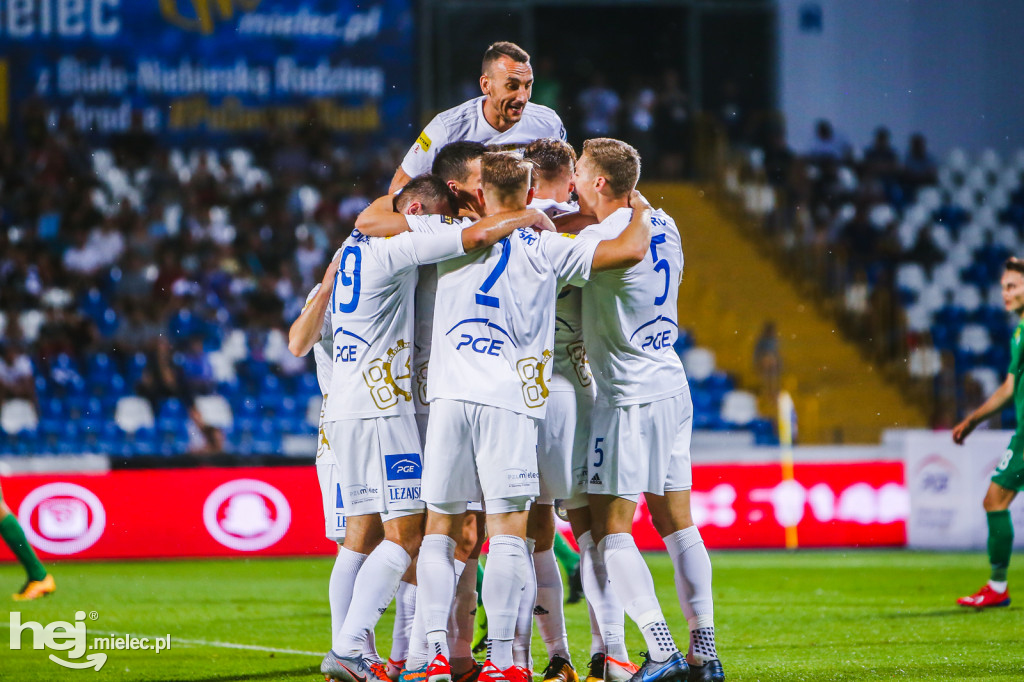 PGE FKS Stal - Warta Poznań