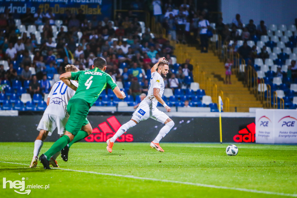 PGE FKS Stal - Warta Poznań