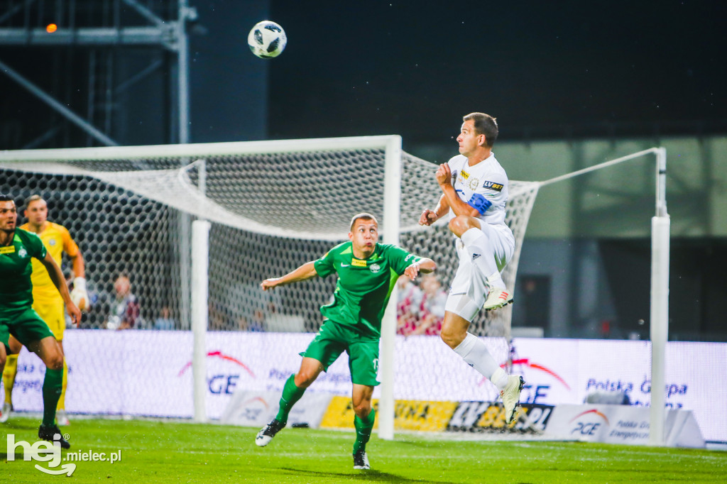 PGE FKS Stal - Warta Poznań