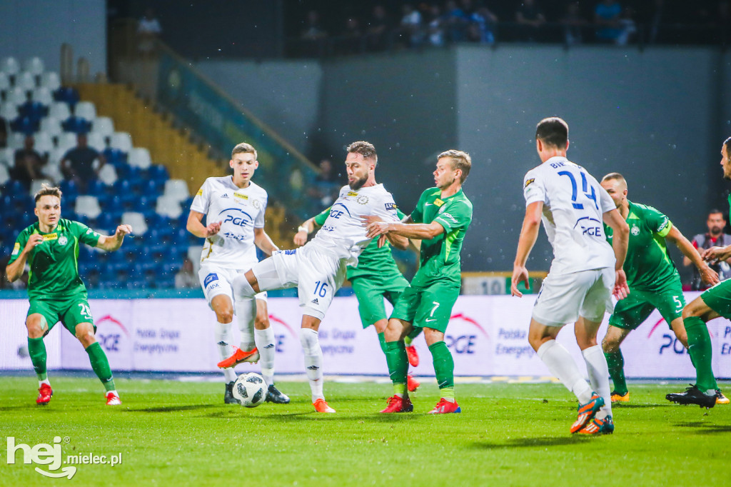 PGE FKS Stal - Warta Poznań