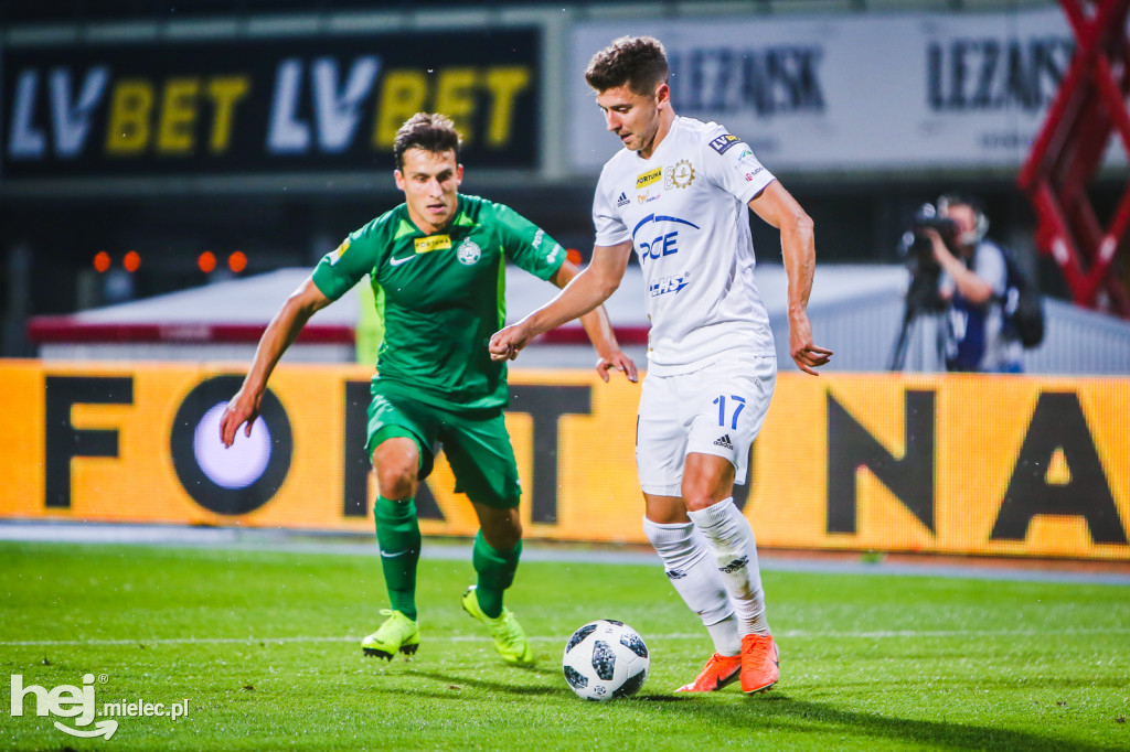 PGE FKS Stal - Warta Poznań