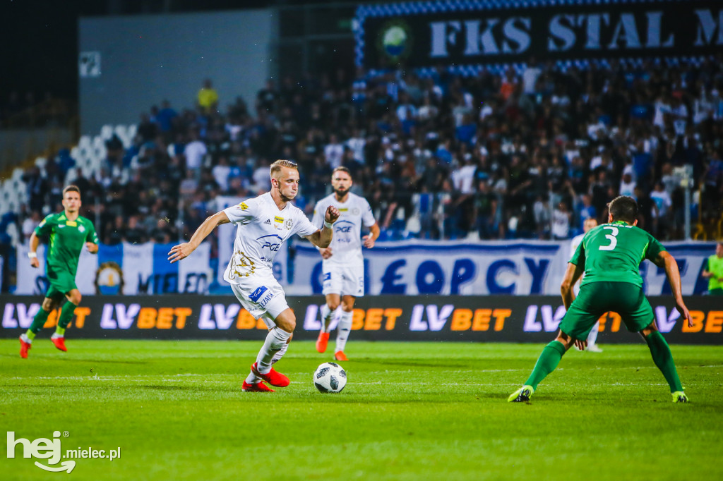 PGE FKS Stal - Warta Poznań