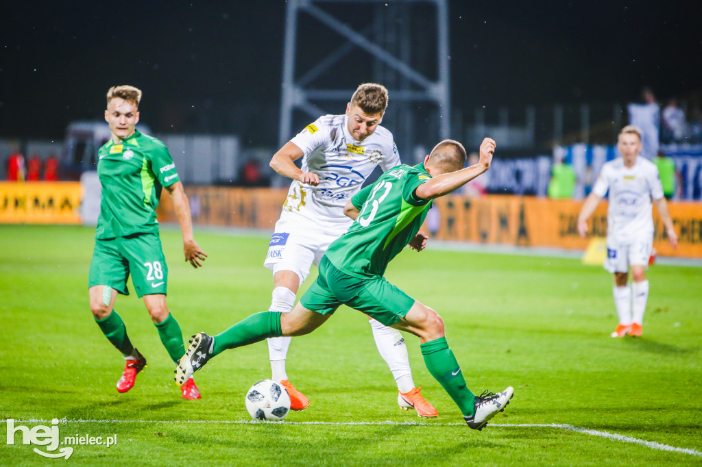 PGE FKS Stal - Warta Poznań