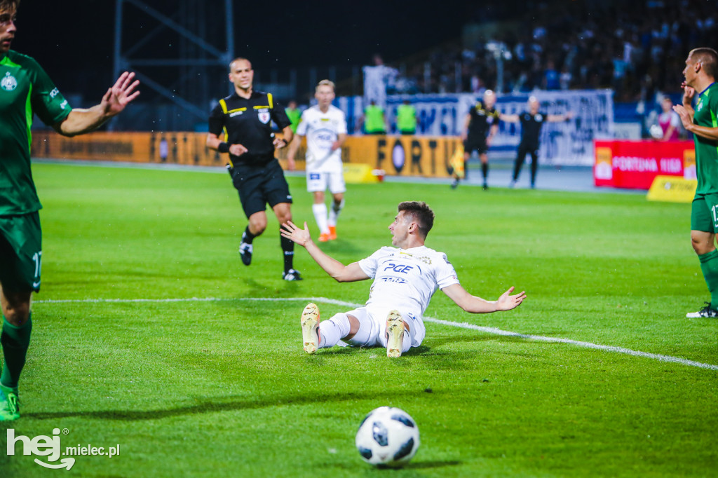 PGE FKS Stal - Warta Poznań