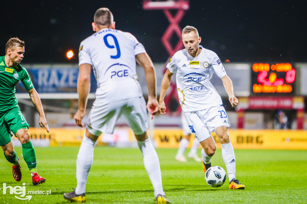PGE FKS Stal - Warta Poznań