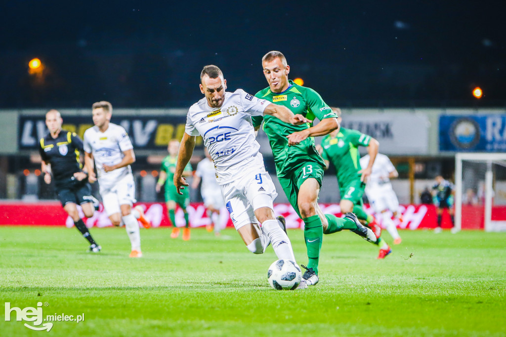 PGE FKS Stal - Warta Poznań