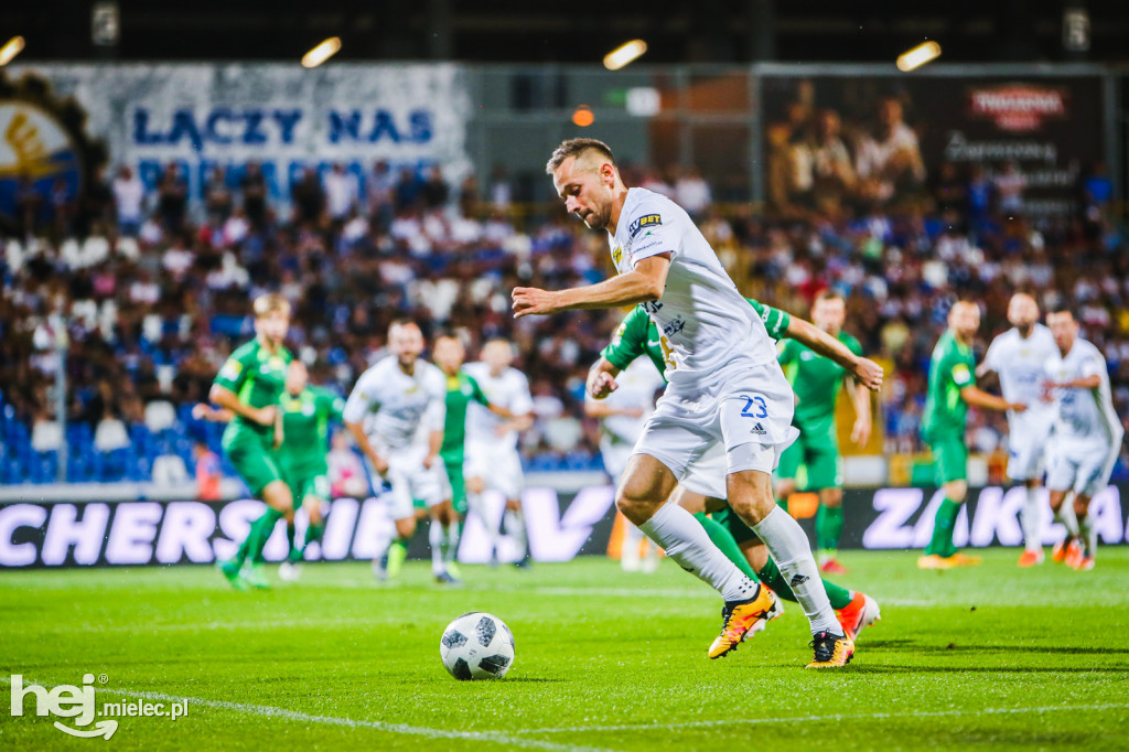 PGE FKS Stal - Warta Poznań