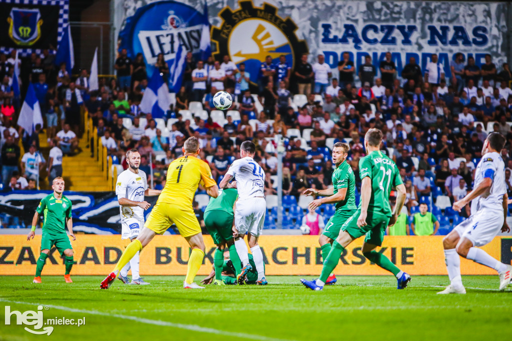 PGE FKS Stal - Warta Poznań