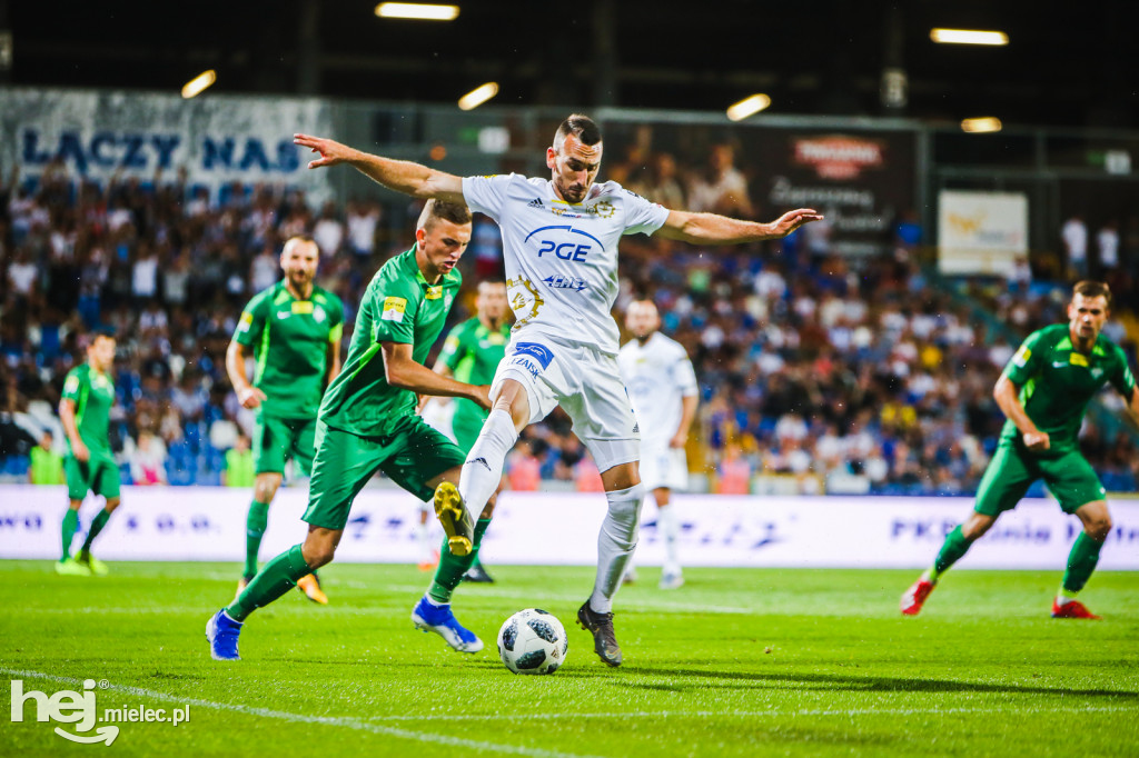 PGE FKS Stal - Warta Poznań