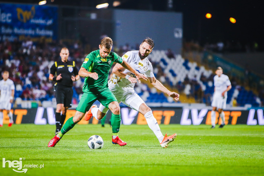 PGE FKS Stal - Warta Poznań