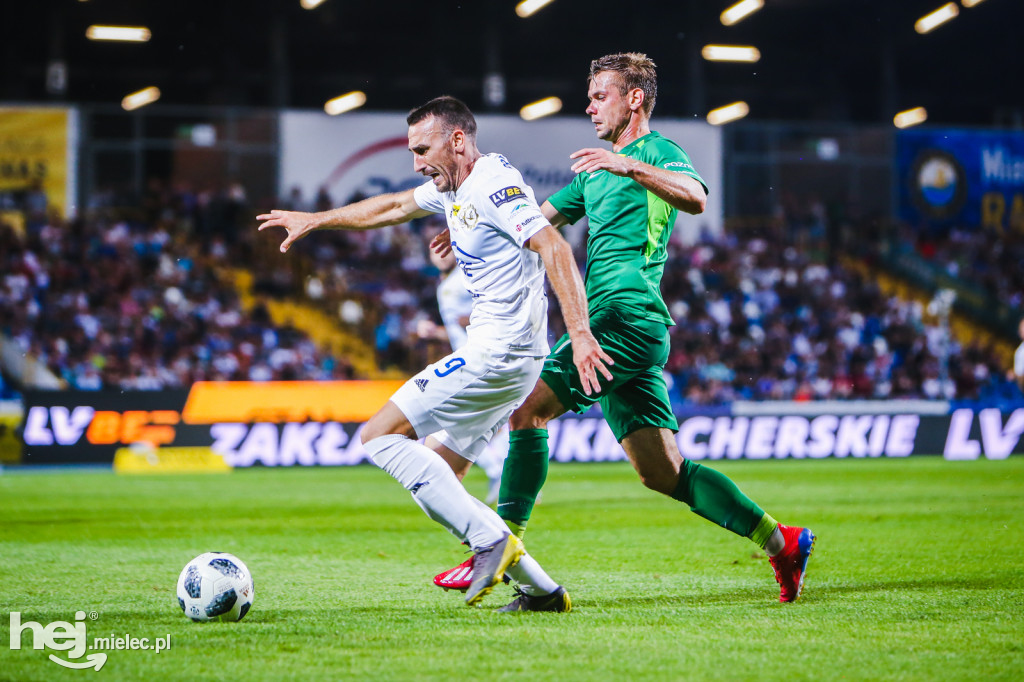 PGE FKS Stal - Warta Poznań