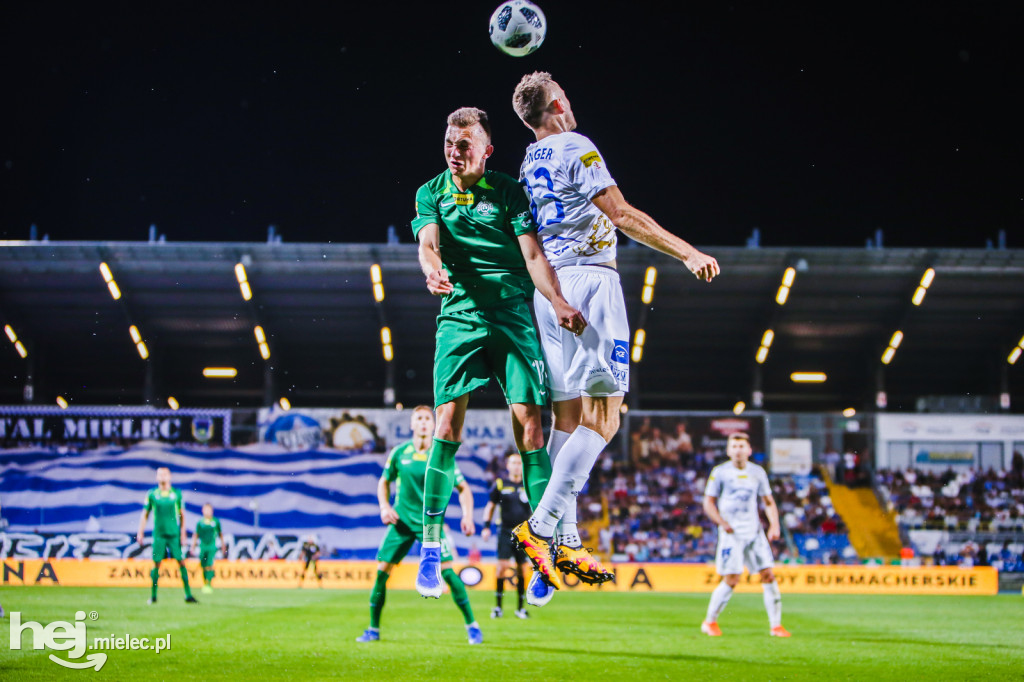 PGE FKS Stal - Warta Poznań
