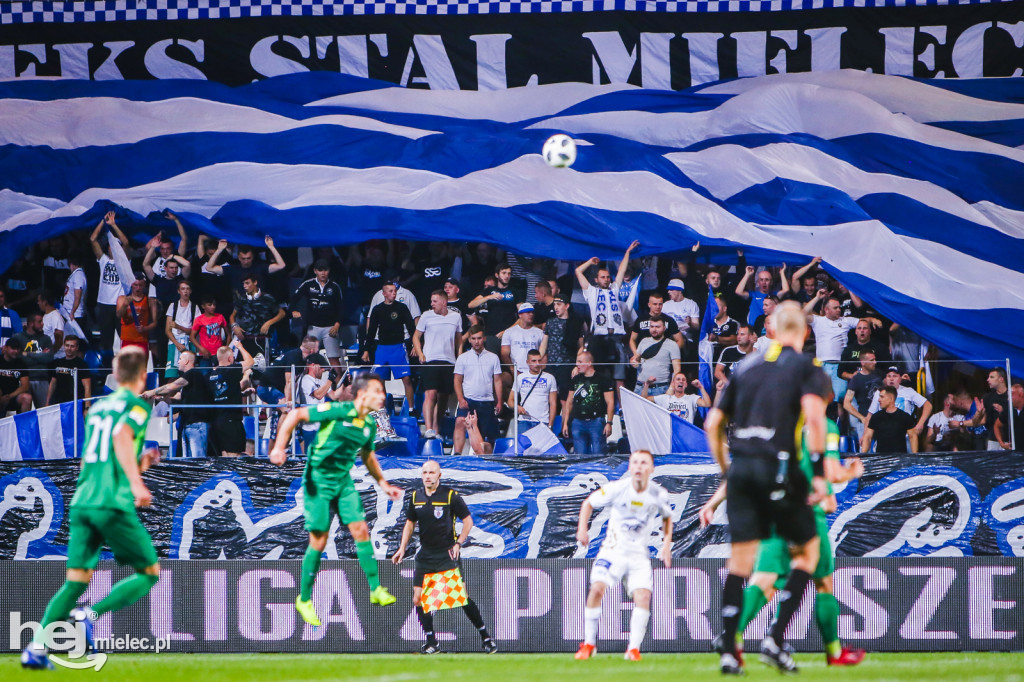 PGE FKS Stal - Warta Poznań