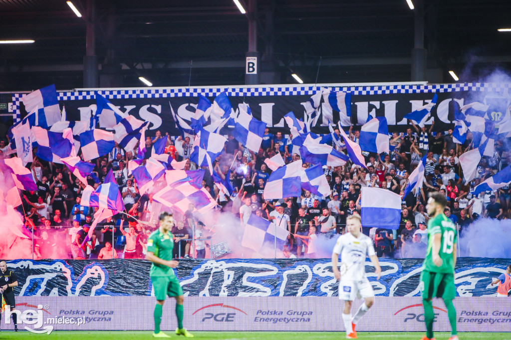 PGE FKS Stal - Warta Poznań