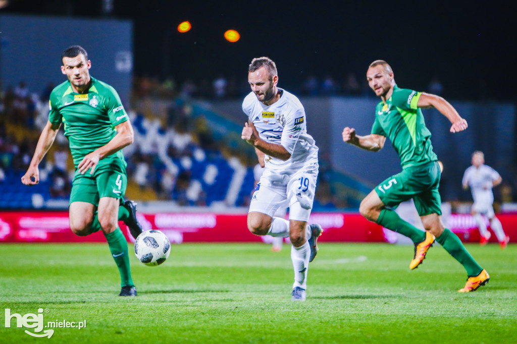 PGE FKS Stal - Warta Poznań