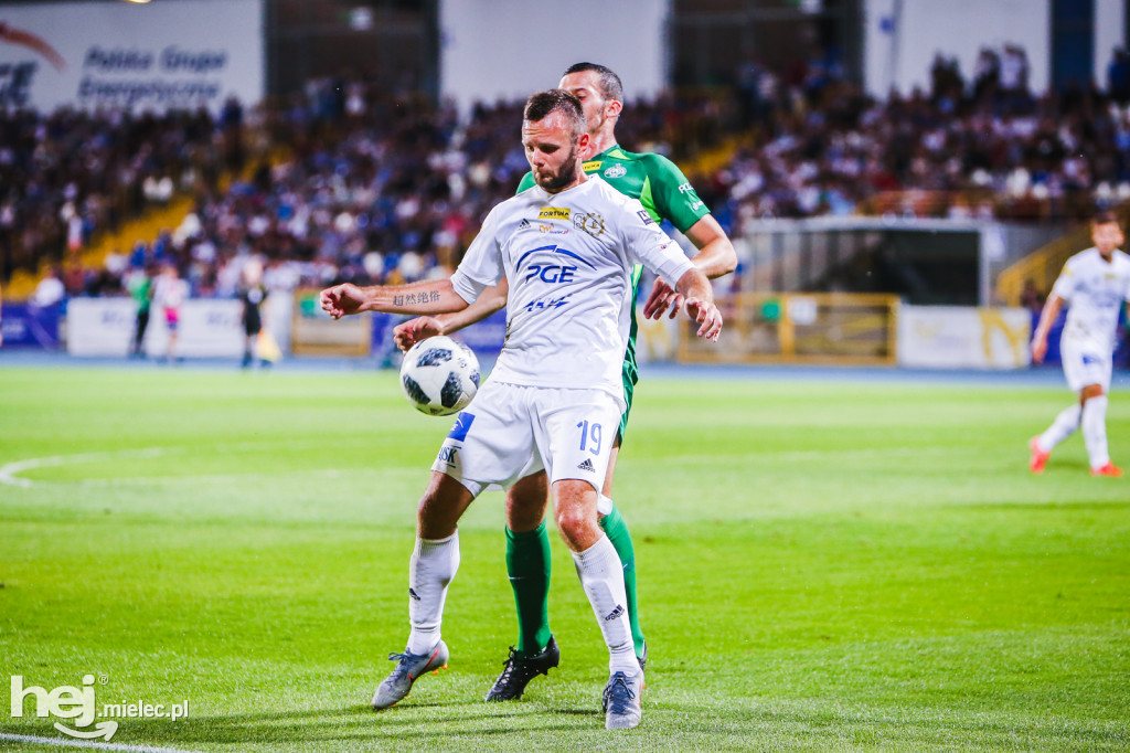 PGE FKS Stal - Warta Poznań