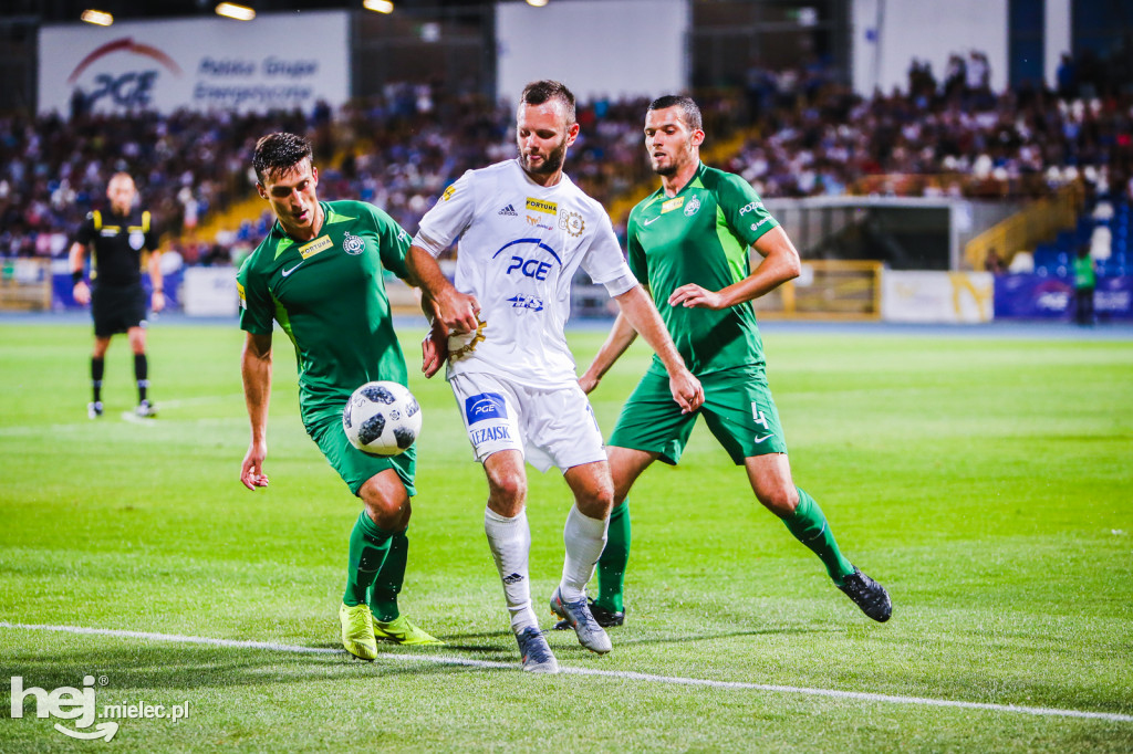 PGE FKS Stal - Warta Poznań