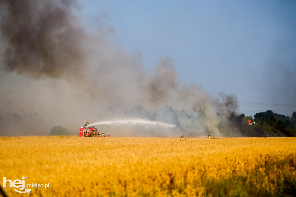 Pożar zboża w Złotnikach