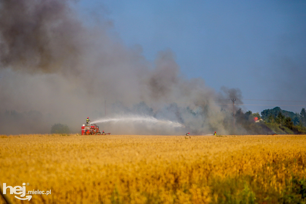 Pożar zboża w Złotnikach
