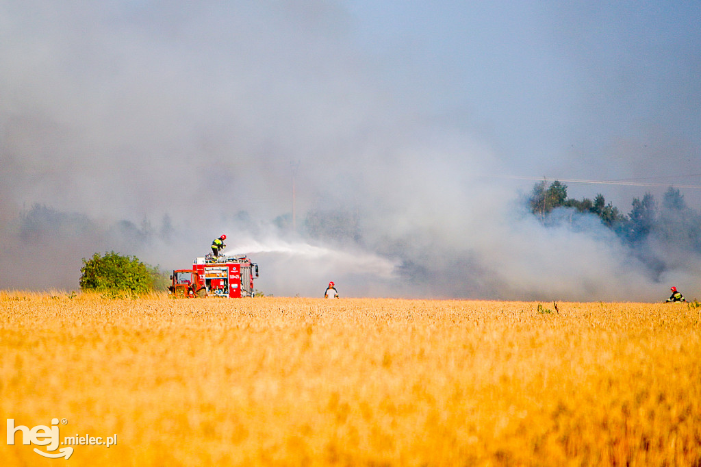 Pożar zboża w Złotnikach