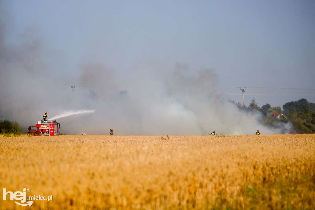 Pożar zboża w Złotnikach