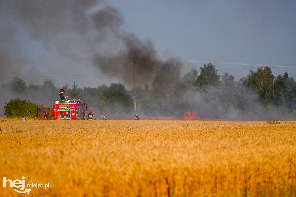 Pożar zboża w Złotnikach