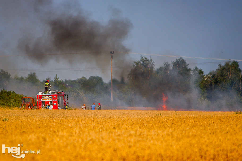 Pożar zboża w Złotnikach