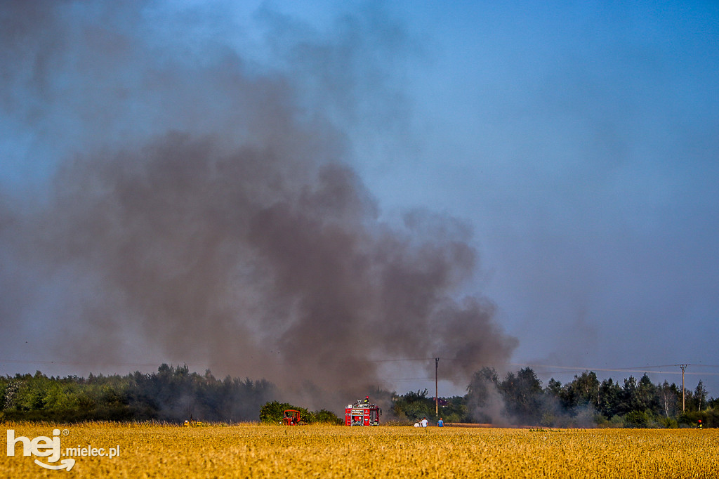 Pożar zboża w Złotnikach