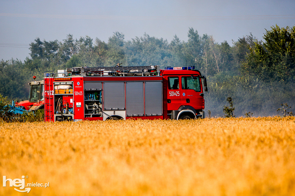 Pożar zboża w Złotnikach