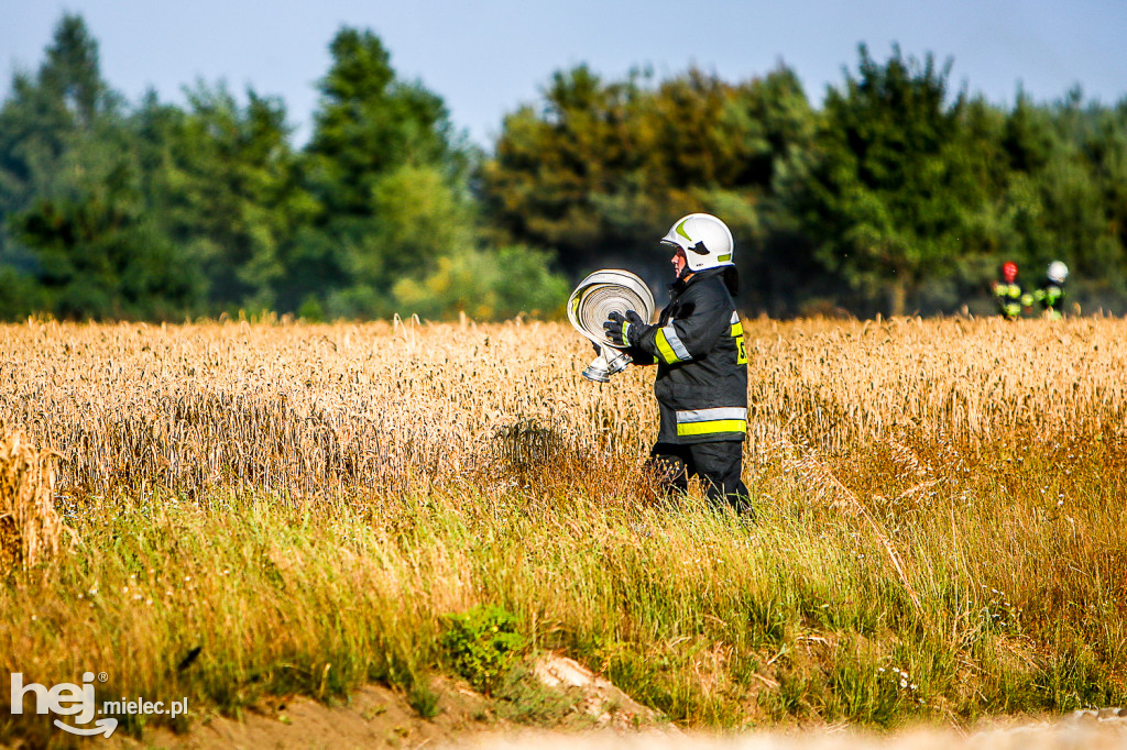 Pożar zboża w Złotnikach