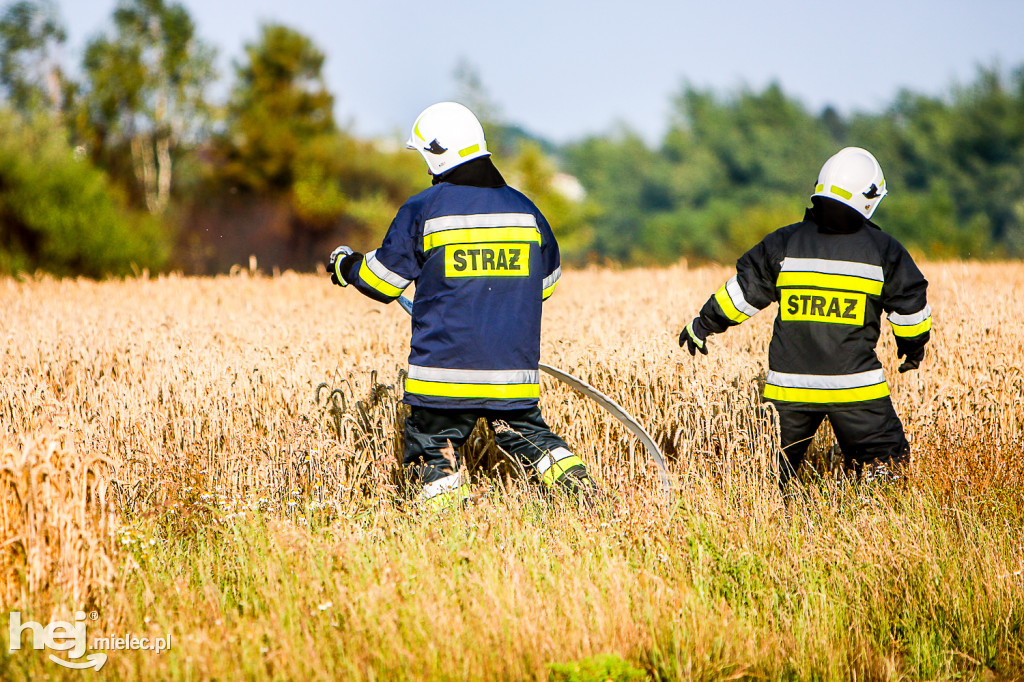 Pożar zboża w Złotnikach