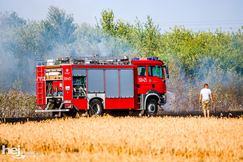 Pożar zboża w Złotnikach