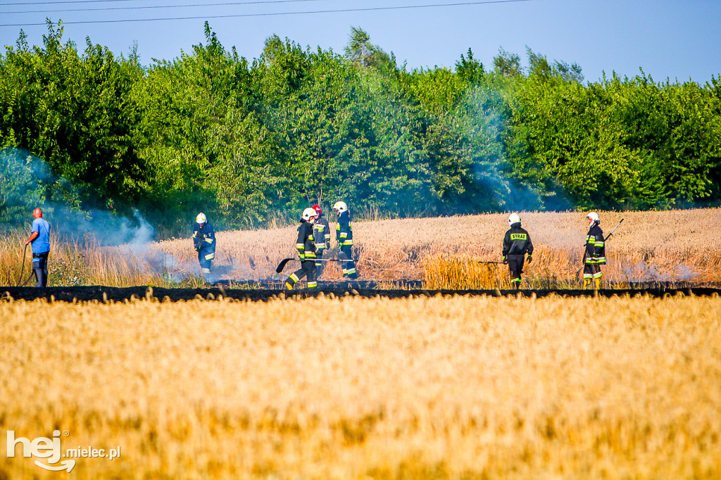 Pożar zboża w Złotnikach