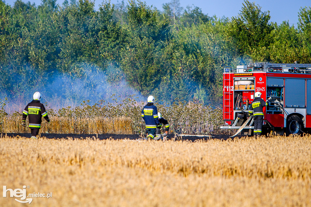 Pożar zboża w Złotnikach