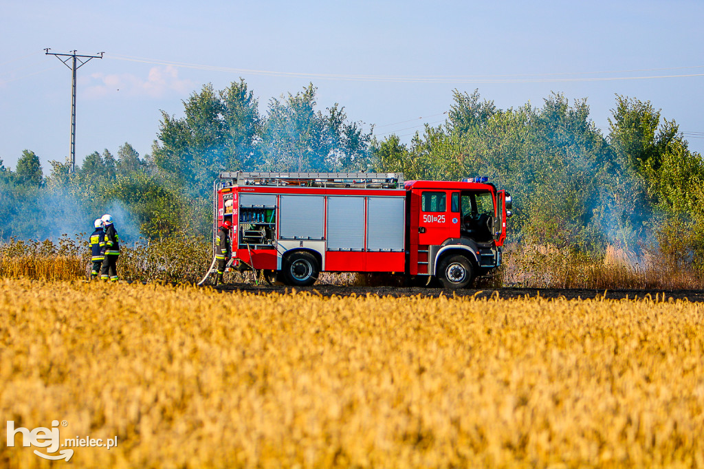 Pożar zboża w Złotnikach