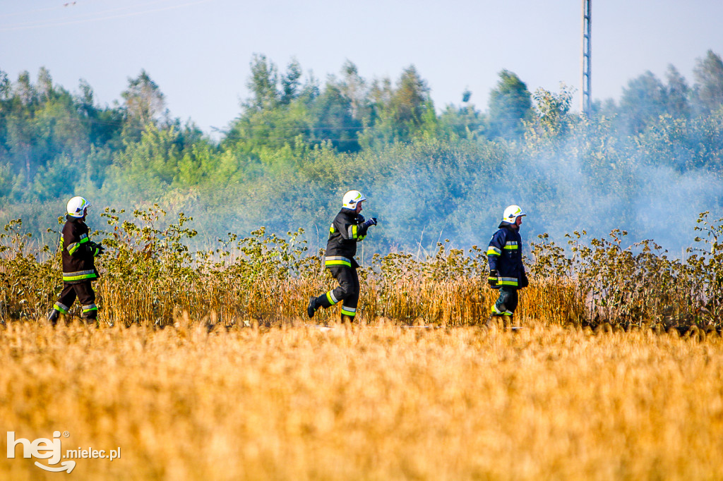 Pożar zboża w Złotnikach