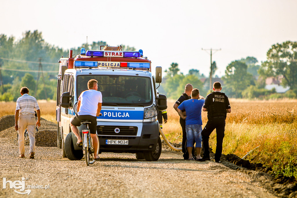 Pożar zboża w Złotnikach