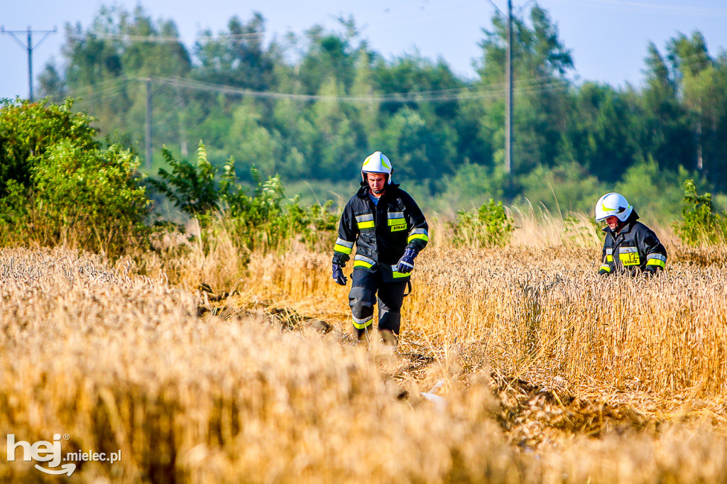 Pożar zboża w Złotnikach